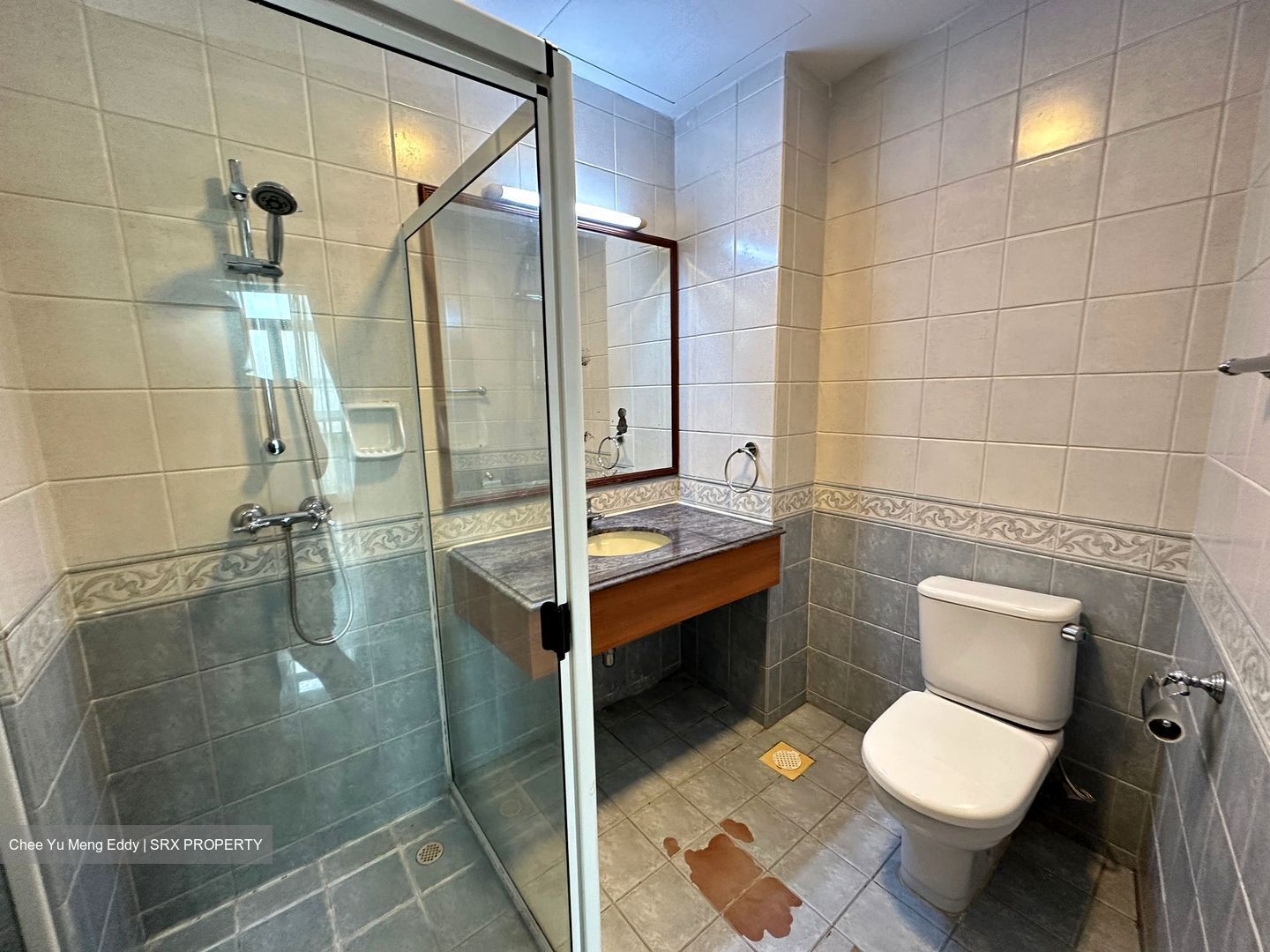 Gold Palm Mansion (D15), Apartment #505024551